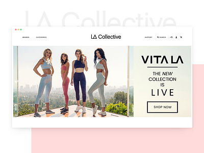LA Collective - Website Design clothing ecommerce los angeles typography ui ux website