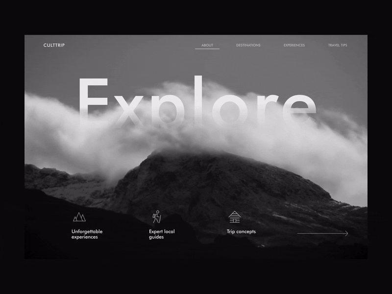 Travel website concept