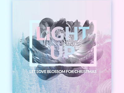 Light up Xmas blossom christmas design email flower fon love mailing photoshop type xmas