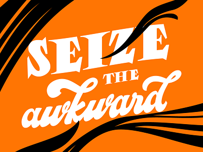 Seize the Awkward calligraphy goodtypetuesday illustration lettering type typography