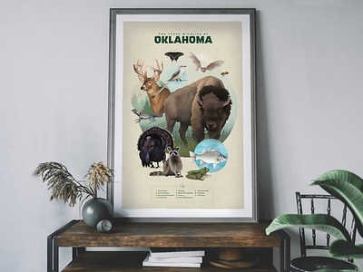 Oklahoma State Wildlife Poster design illustration poster design state parks