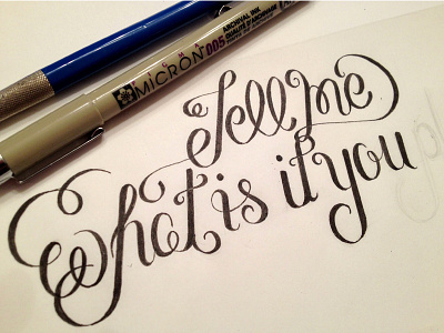 Tell me... hand drawn hand lettering inking lettering quotes script sketch typography