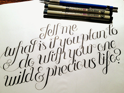 Tell me...full hand drawn hand lettering inking inspiration lettering quote script sketch typography