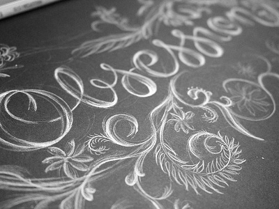 Obsession Lettering Detail calligraphy draw filigree flourish hand lettering illustration lettering obsession personal script type typography