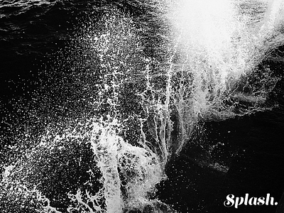 Splash photography typography