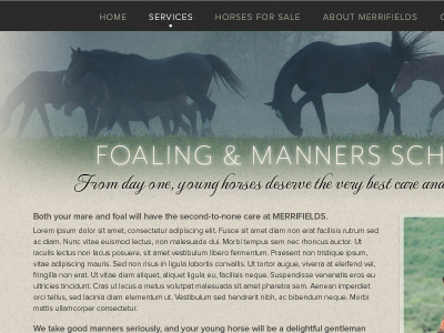 Equine Site Design horses website