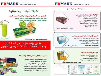 Arabic Flyer branding design illustration vector