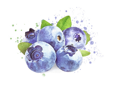 Watercolor blueberries with leaves