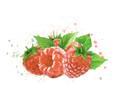 Watercolor Raspberries with leaves