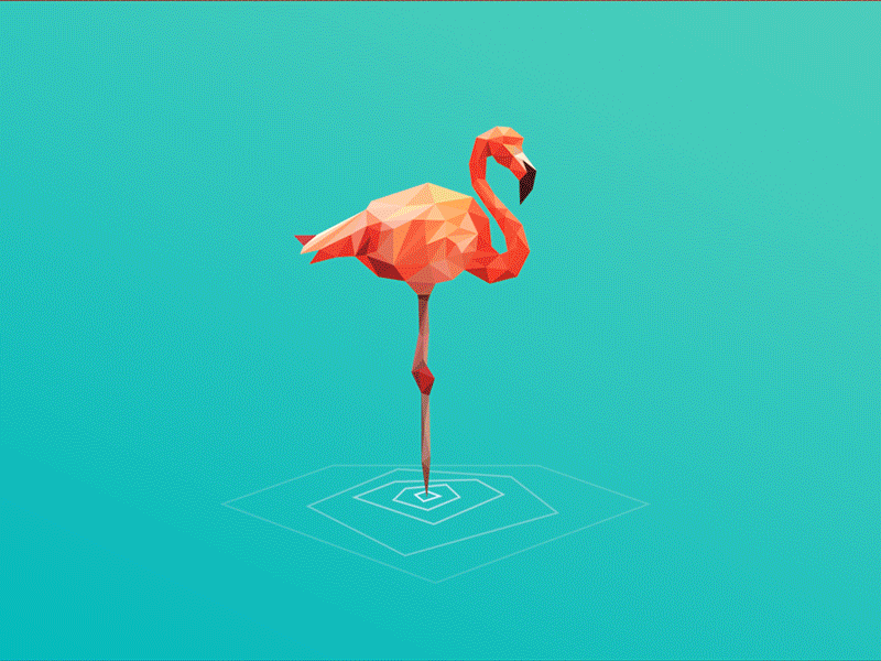 Flamingo Poly Logo Development  |  GIF