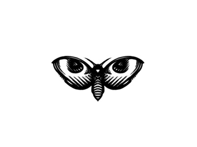 Moth Eyes Logo eye loog mariposa mark moth olho photo photography