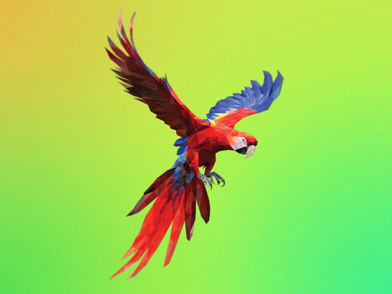 Poly Arara 3d arara bird brasil colors logo lowpoly macaw mesh poly polygon