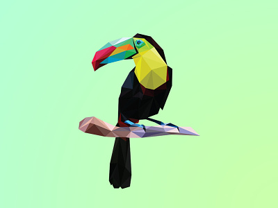 Poly Toucan bird brazil lowpoly poly polygon toucan triangles tropical tucano