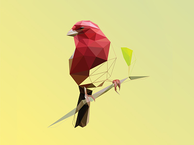 Vermei Poly Bird Logo bird delaunay geometric lowpoly polygon red triangulation vermei