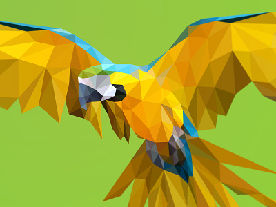 Poly yellow macaw bird brazil geometry lowpoly macaw polygon triangles triangulation wings yellow