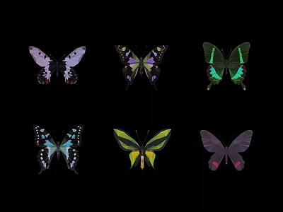ƸӜƷ _ #BBfly _ NFT COLLECTION _ #001 to #006 butterfly collectibles collection crypto crypto art crypto currency cryptoart cryptocurrency ethereum hic et nunc insect low poly lowpoly nft nft collection nftart opensea rarible tezos wing