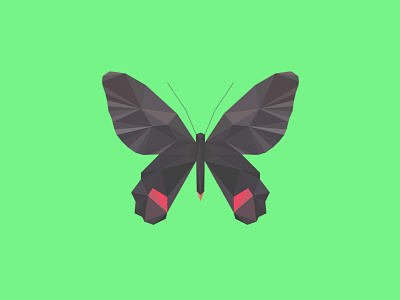 ATROPHANEURA DIXONI - Flies Files Project - #001 butterfly collection fliesfiles lowpoly triangles vector