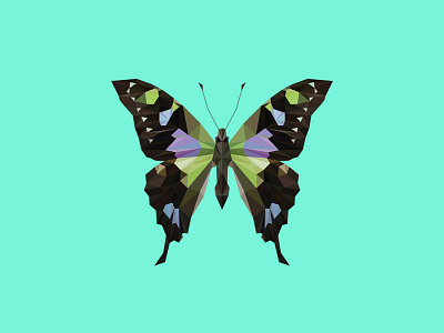 GRAPHIUM WEISKEI ARFAKENSIS - Flies Files Project - #002 butterfly collection fliesfiles lowpoly triangles vector