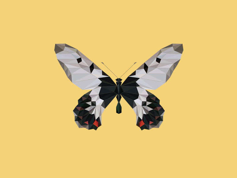 CRESSIDA CRESSIDA INSULARIS - Flies Files Project - #003 fliesfiles butterfly vector lowpoly triangles collection