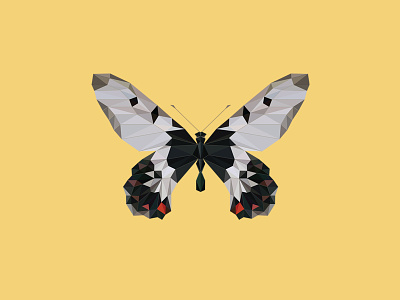 CRESSIDA CRESSIDA INSULARIS - Flies Files Project - #003 butterfly collection fliesfiles lowpoly triangles vector