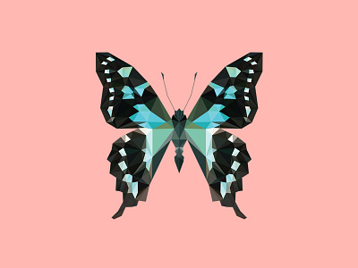 GRAPHIUM STRESSEMANNI - Flies Files Project - #004 butterfly collection fliesfiles lowpoly triangles vector