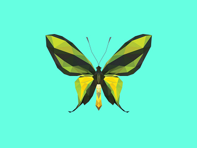 ORNITHOPTERA PARADISEA FLAVESCENS - Flies Files Project - #005 butterfly collection fliesfiles lowpoly triangles vector