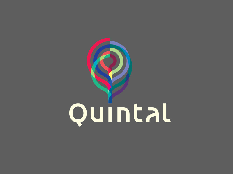 Quintal Logo 2 q furniture triangles polygon wireframe backyard brain