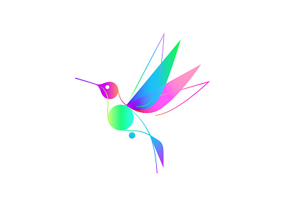 Colibri beija flor colibri colors hummingbird