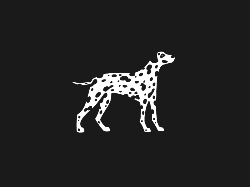 Dalmatian black croatia dalmata dalmatian dog dot pinta spot spots spotted white