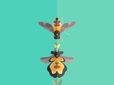 Spot your flower! bee connection deleuze flower love mimic mirror orchid symbiosis wasp