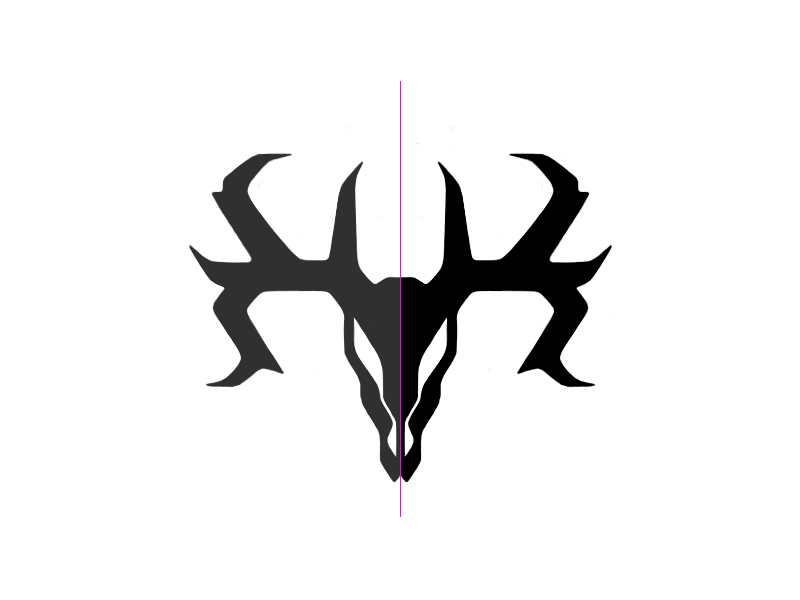 KR // Whitetail Deer Skull deer horn k r ranch rancho skull symetry tail white
