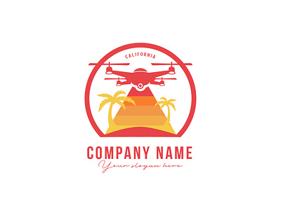 Logo Drone Concept app branding calligraphy design graphic illustration inspiration logo logotype typography vector