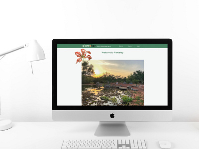 Plantekey web design and development design illustrator website