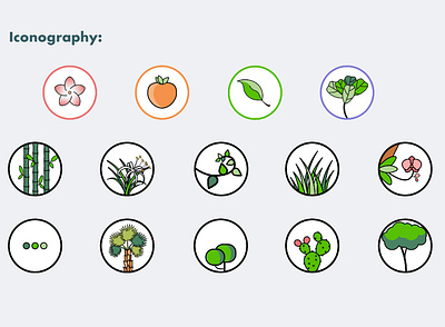 Plantekey icons design icon set icons illustrator vector