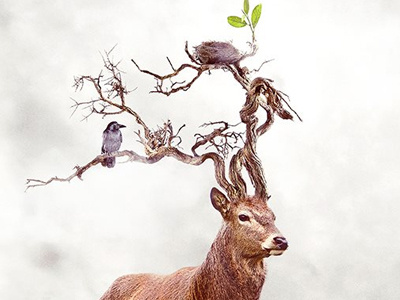 Stag art bird branches deer design digital illustration stag tree