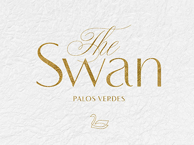 The Swan branding design fashion graphic icon identity lettering logo luxury script type typography