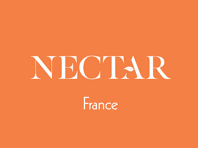 Nectar branding design graphic health identity juice lettering logo packaging
