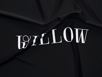 Willow branding design identity lettering logo los angeles luxury type typography