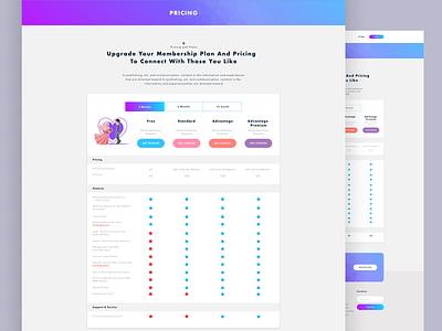 Pricing Plan