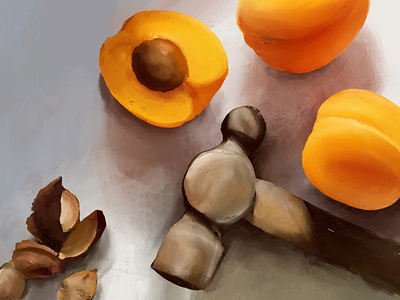 Apricots design illustration procreate sketch sketchbook