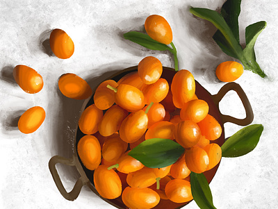 Kumquat design illustration procreate sketch sketchbook