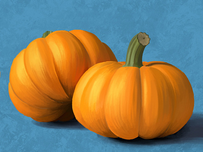 Pumpkins design illustration procreate sketch sketchbook