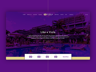 Hotel Website, Viola