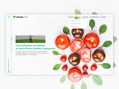 Demagro Agriculture agriculture design main page ui ux web web design webdesign website