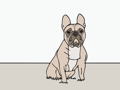 Frenchie adobe illustrator adobe illustrator cc animals bulldog design dog french bulldog frenchie graphic design illustration vector