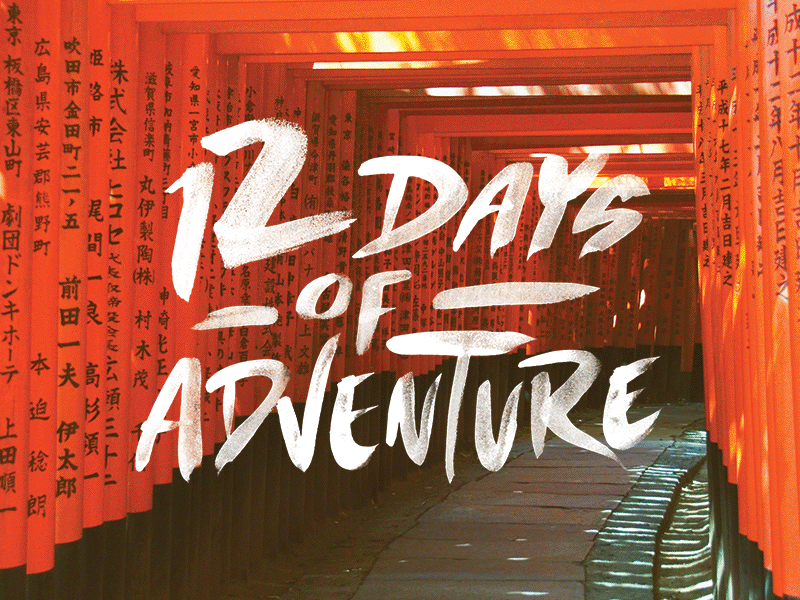 The ZOZI 12 Days of Adventure brush gif logo paint script travel type typography wordmark