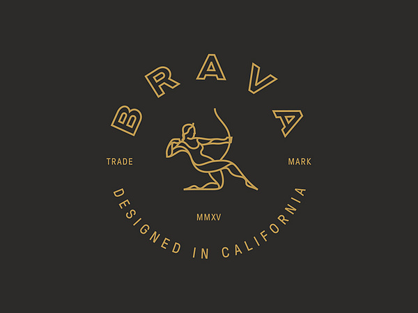 Brava Logo by Daniel Führer on Dribbble