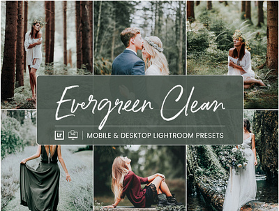 Evergreen Clean - Mobile & Desktop Lightroom Presets forest clean presets