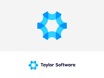 Taylor Software branding clean clever design eye catching eyecatching flat gradient graphic design icon identity lettering logo minimal typography vector