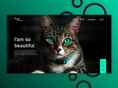The Cat Website cat ui web design website